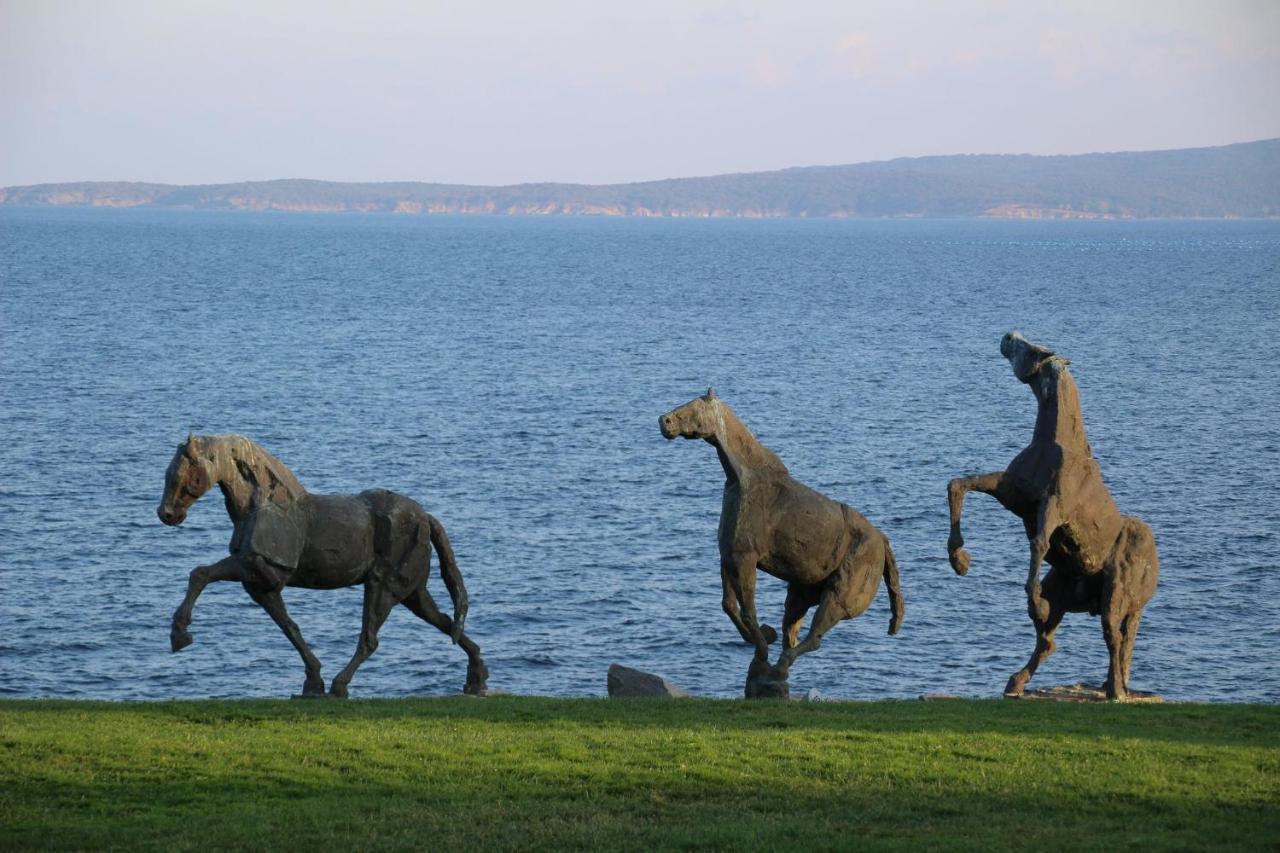 Art Complex Anel Hotel Sozopol Luaran gambar